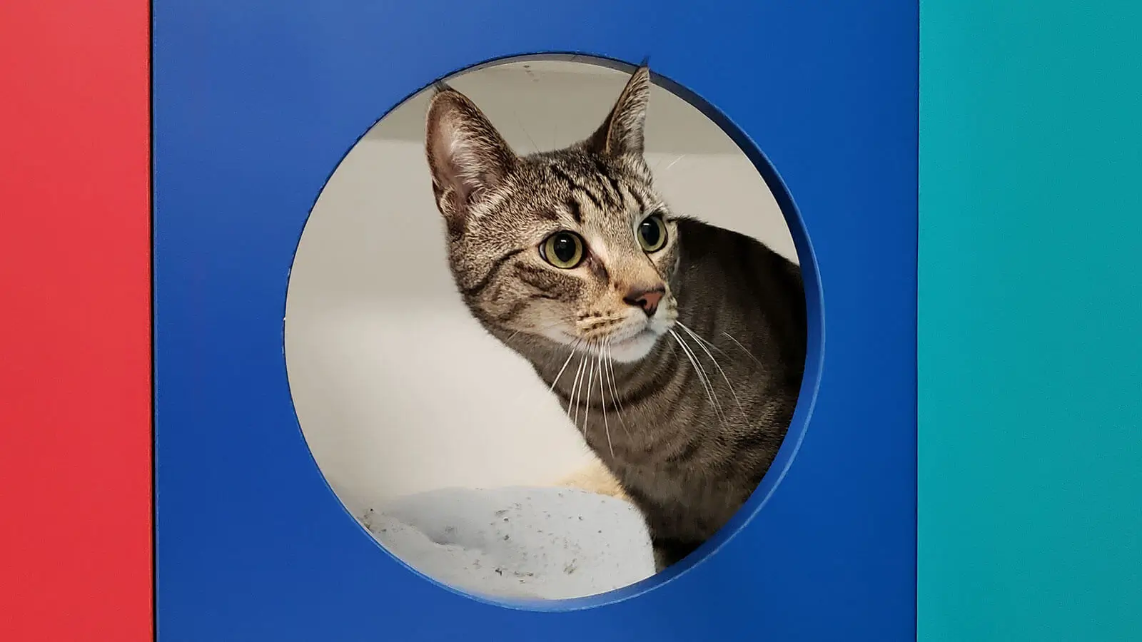 Clinic Care Advice & FAQS